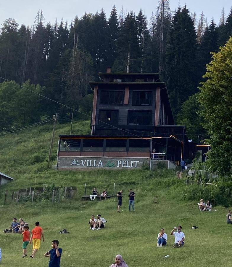 Ayder Villa De Pelit Hotel Exterior foto